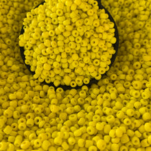 Load image into Gallery viewer, 100g 12/0 Seed Beads