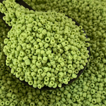 Load image into Gallery viewer, 100g 12/0 Seed Beads