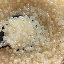 Load image into Gallery viewer, 100g 6/0 Glass Seed Beads