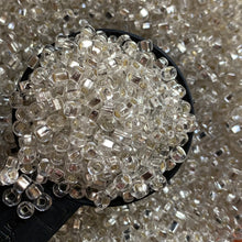 Load image into Gallery viewer, 100g 6/0 Glass Seed Beads