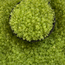 Load image into Gallery viewer, 100g 12/0 Seed Beads