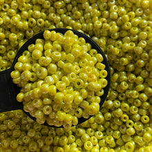 Load image into Gallery viewer, 100g 6/0 Glass Seed Beads