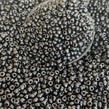 Load image into Gallery viewer, 100g 12/0 Seed Beads