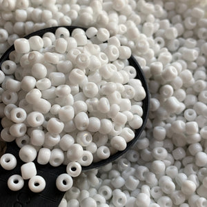 100g 6/0 Glass Seed Beads