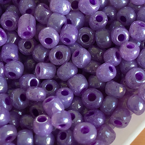 100g 6/0 Glass Seed Beads